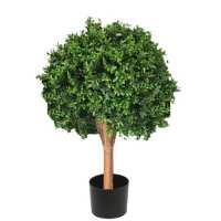 Read Evergreen Direct Reviews